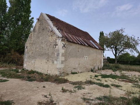 photo no. 12