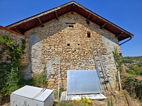 photo no. 8