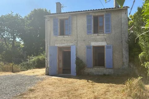 photo no. 19
