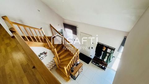 photo no. 12