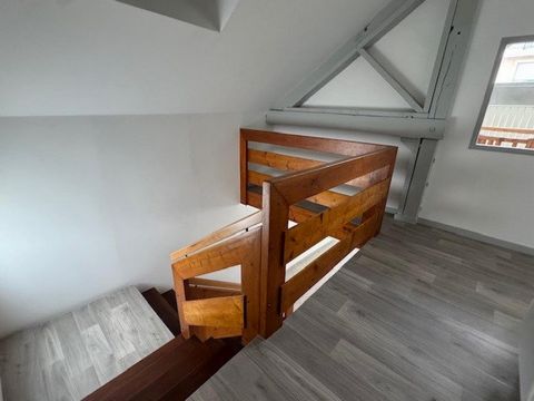 photo no. 7
