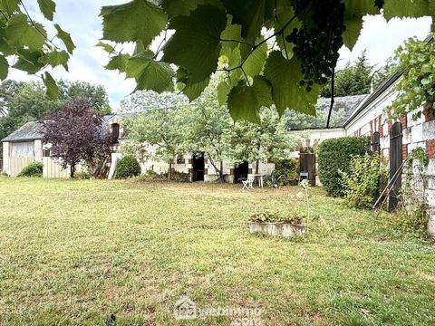 photo no. 6