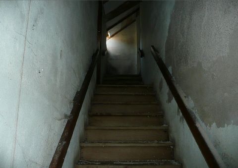 photo no. 24