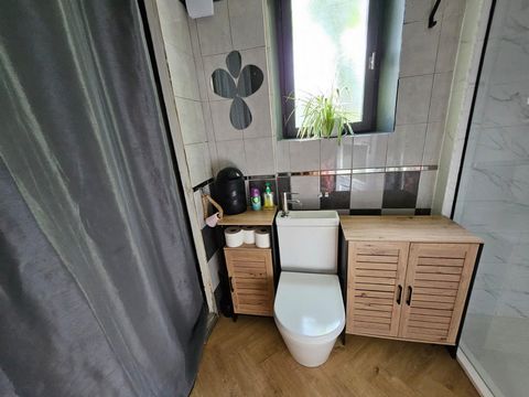 photo no. 11