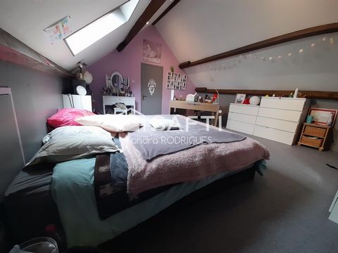 photo no. 9