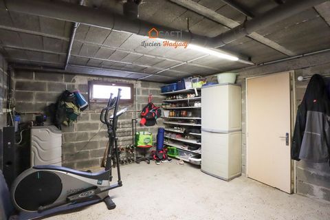 photo no. 8