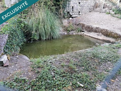 photo no. 6