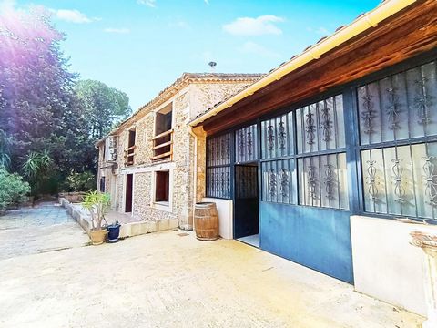 photo no. 2