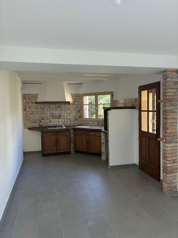 photo no. 6