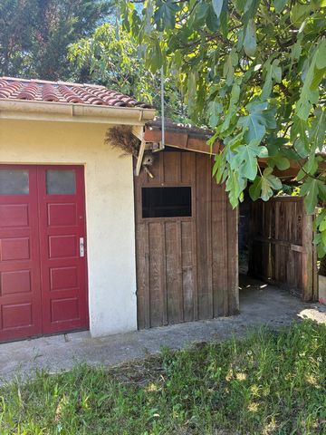 photo no. 9