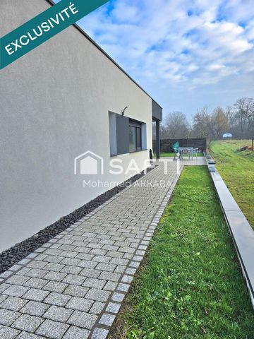 photo no. 15