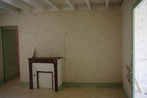 photo no. 4