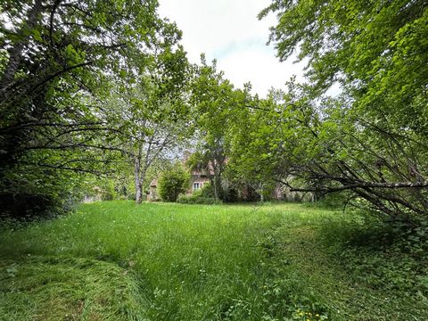 photo no. 9