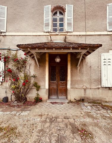 photo no. 19