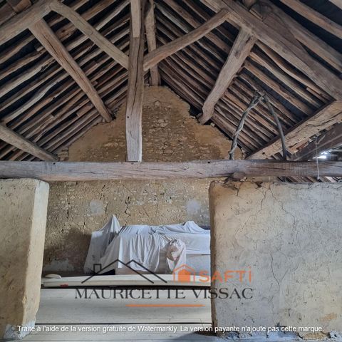 photo no. 12
