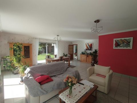 photo no. 11