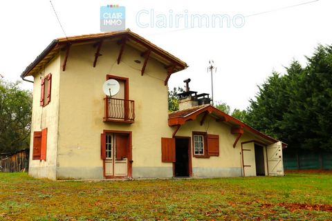 photo no. 2