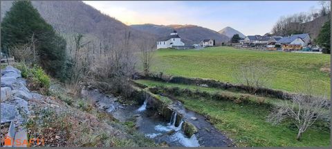 photo no. 6