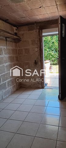 photo no. 6