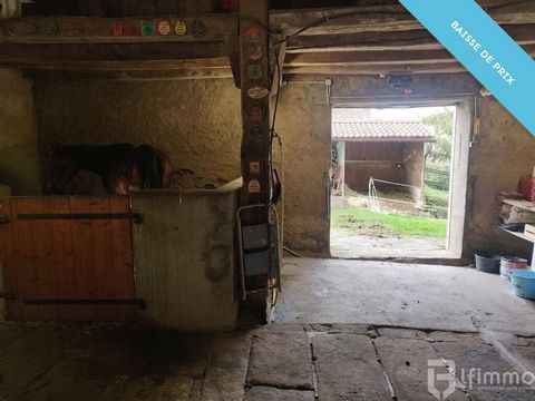 photo no. 14
