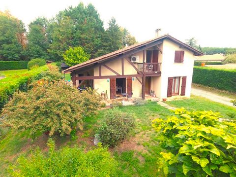 photo no. 2