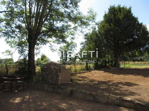 photo no. 11