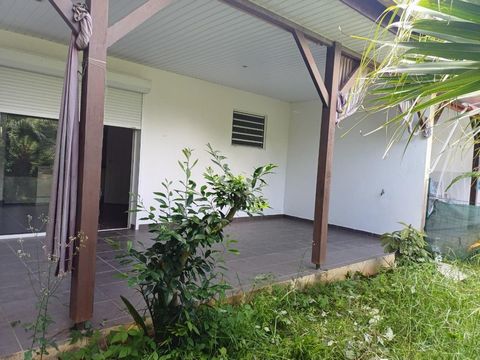 photo no. 6