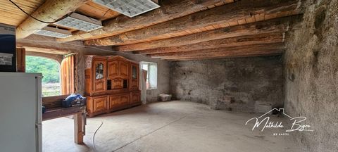 photo no. 14