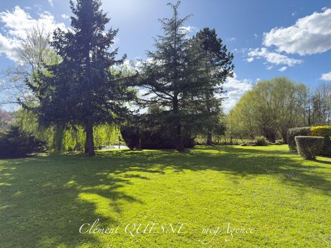 photo no. 6