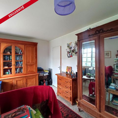 photo no. 11