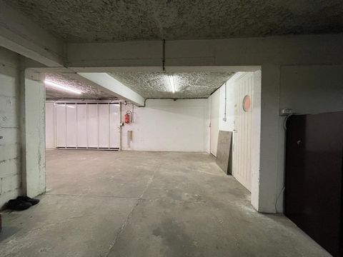 photo no. 5