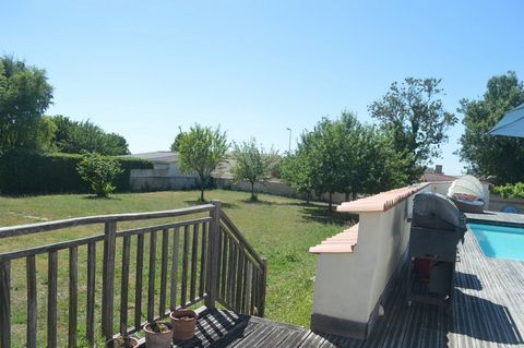photo no. 13