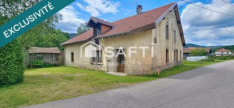 photo no. 12