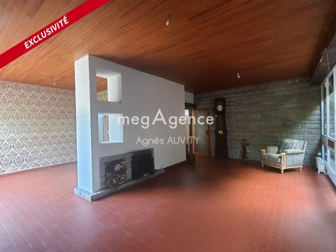 photo no. 6