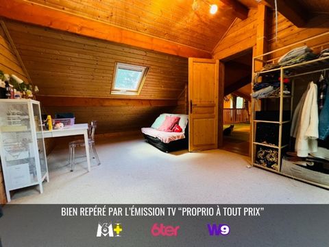 photo no. 15