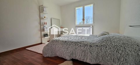 photo no. 11