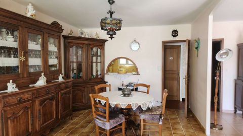 photo no. 5