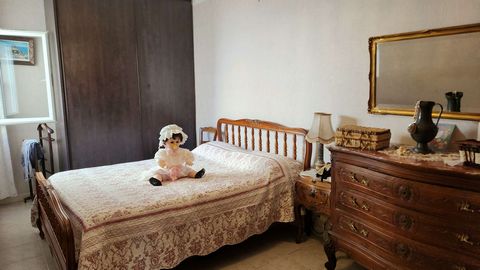 photo no. 6