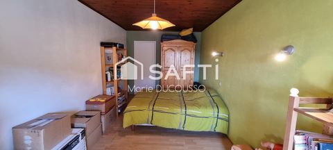 photo no. 11