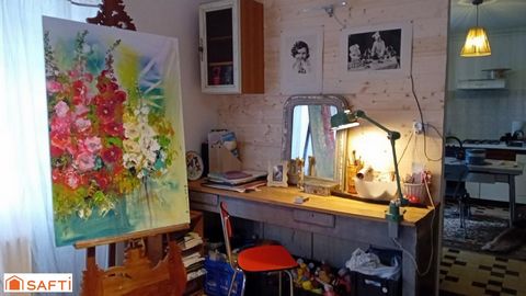 photo no. 12