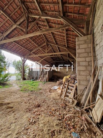 photo no. 14