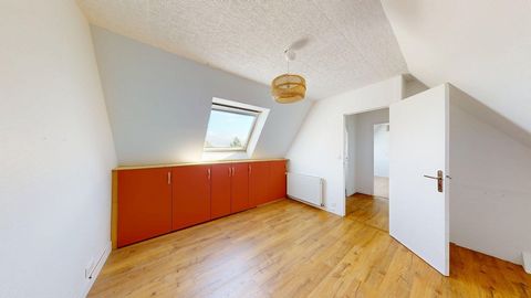 photo no. 16
