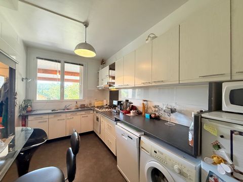 photo no. 12