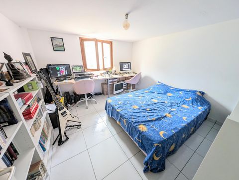 photo no. 11