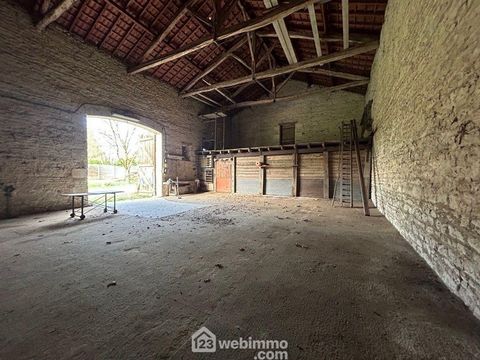 photo no. 16