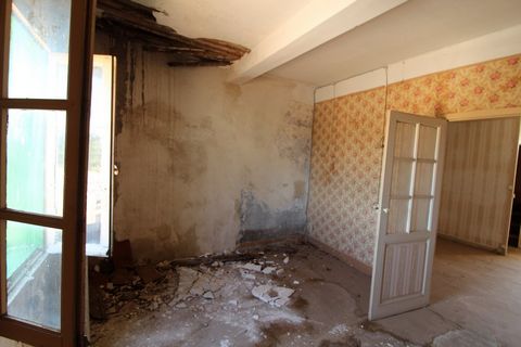 photo no. 9