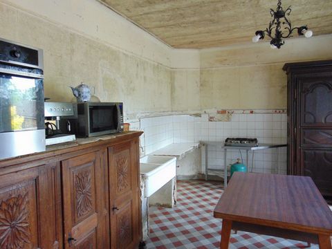 photo no. 8