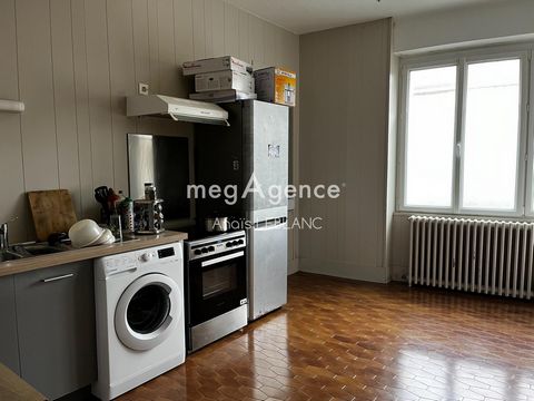 photo no. 7