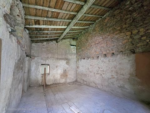 photo no. 7