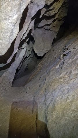 photo no. 11